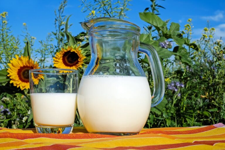 The Benefits of Protein Supplementation for Muscle Building: Optimal Daily Intake and Timing